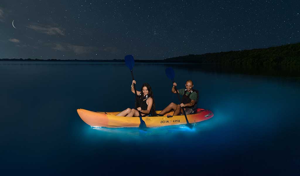 El Conquistador Resort Resort Bioluminescent Bay